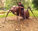 Avatar du membre