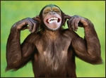 Avatar du membre