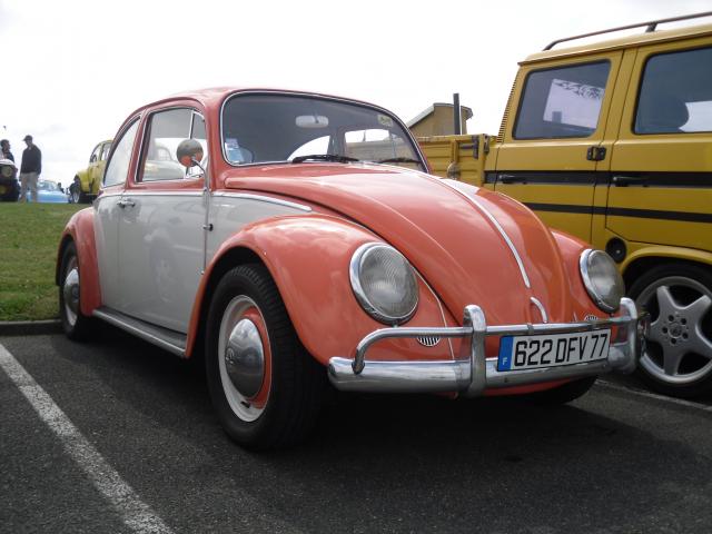 http://www.polo-land.fr/upload/1082/4a2aeb660b931.jpg